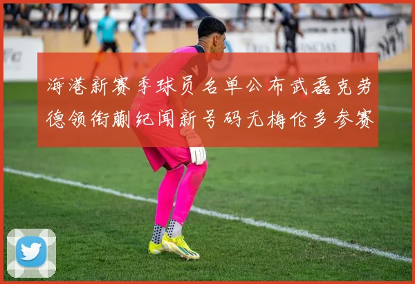海港新赛季球员名单公布武磊克劳德领衔蒯纪闻新号码无梅伦多参赛